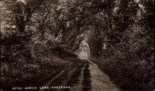 Thetford Norfolk Green Lane 1900 -1920s Real Photo Vintage Postcard
