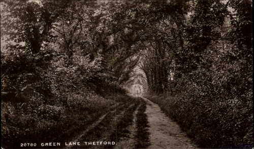 Thetford norfolk green - norfolk,
