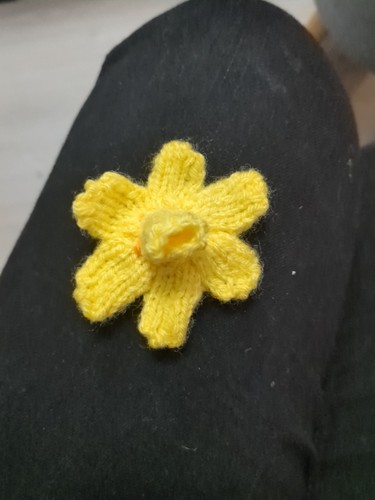 Knitted daffodil brooch badge - daffodil,