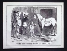 Original 1849 Punch Cartoon Print – “The Cleverest Cob in England” – Antique