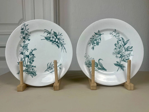 Antique italian botanical - antique,