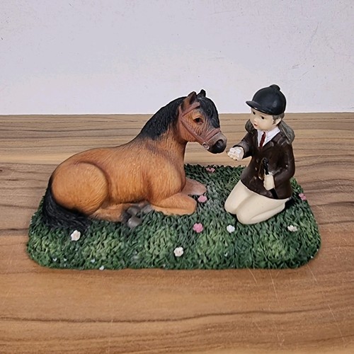Horse rider girl feeding - horse,