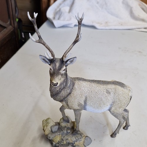 Country artists red deer - artists,