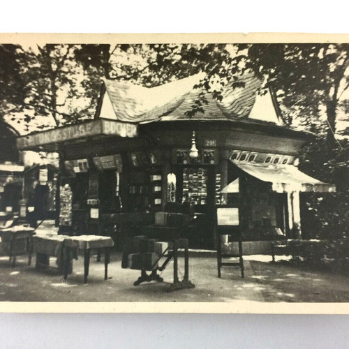 Vintage snapshot photo - vintage,