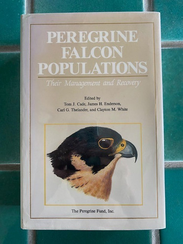 Peregrine falcon populations - falcon,