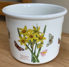 Vintage Portmeirion Botanic Garden Planter - Narcissus Minimus - 18cm
