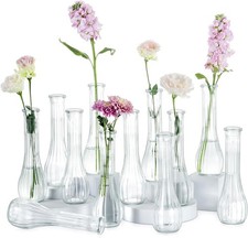 Clear Glass Bud Vase Set of 12