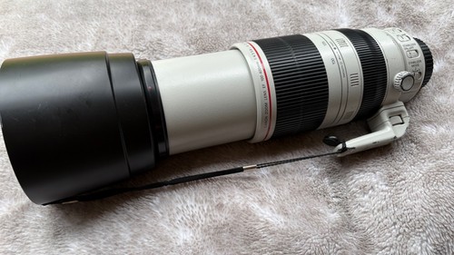 Canon 100 400mm 5 - 100-400mm, f/4.5-5.6l