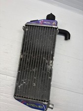 Rotax Max Evo Genuine Silver