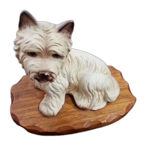Westie highland terrier dog - westie,