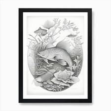 Tancho Sanke Koi Fish Haeckel Style Framed Wall Art Poster Canvas Print Picture