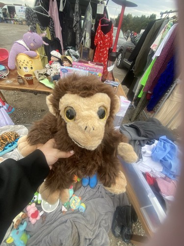 Monkey boy teddy - monkey,