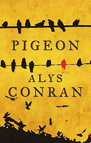 Pigeon alys conran book - by,