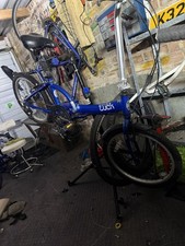 Apollo Folding Bike Unisex