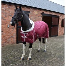 Ruggles Heavy Horse 50g Stable