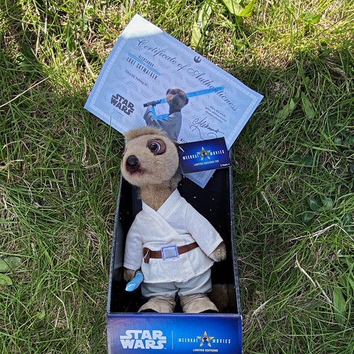 Meerkat movies limited edition - meerkat,