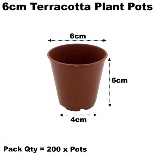 6cm plant pots - 6cm,