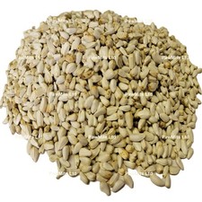 SAFFLOWER SEED - (350g to 15kg) - Aviary Seed Cage Exotic Bird Conure Finch Food