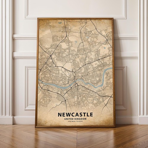 Newcastle city map - map, print