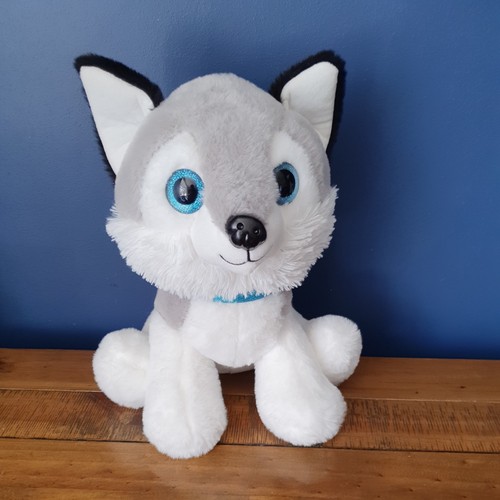 Husky wolf dog grey - dog, white
