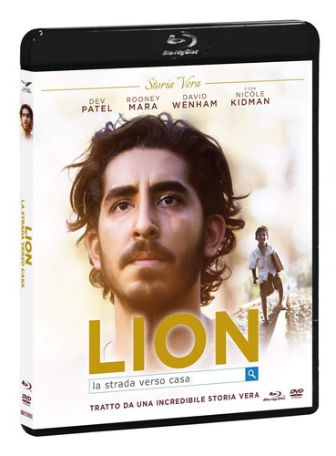 Lion strada verso casa - -,