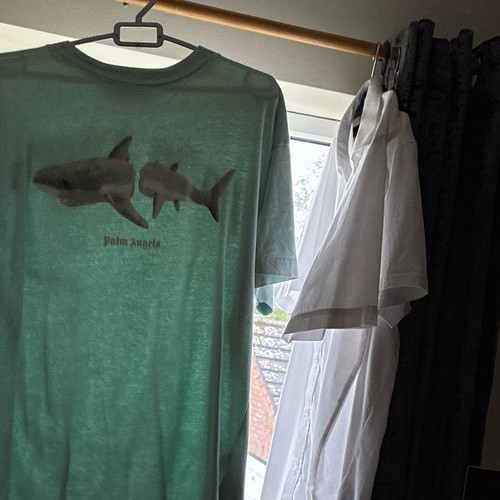 Palm angels torquise shark - angels,