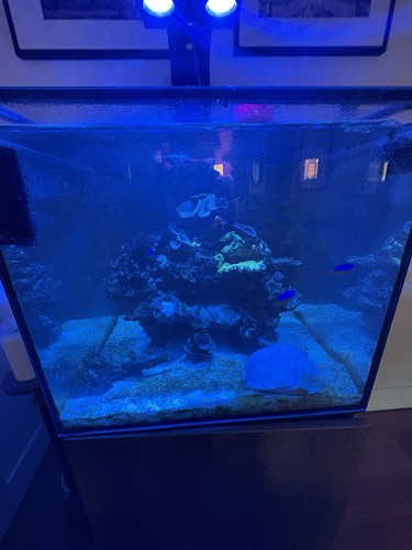 Complete marine tank - complete, set