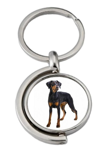 Doberman dog pet spinning - doberman,