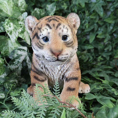 Vivid arts tiger cub pet - vivid,