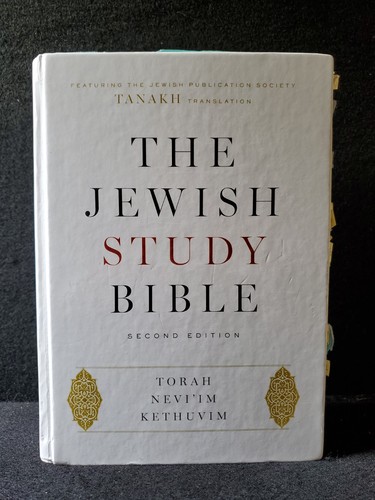 The jewish study - the,