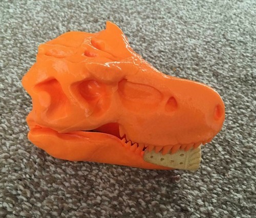 Rex dinosaur skull model - t-rex,