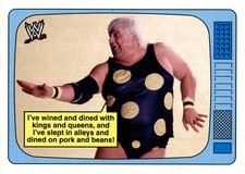 Dusty Rhodes : Vintage WWE Wrestling Collector Card #7