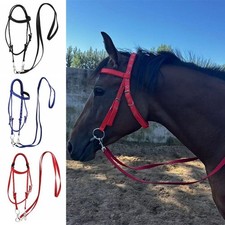 Horse Bridle with Reins