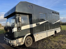 Ford Iveco horsebox