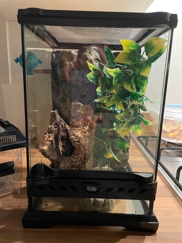 Exo terra glass terrarium - terra,