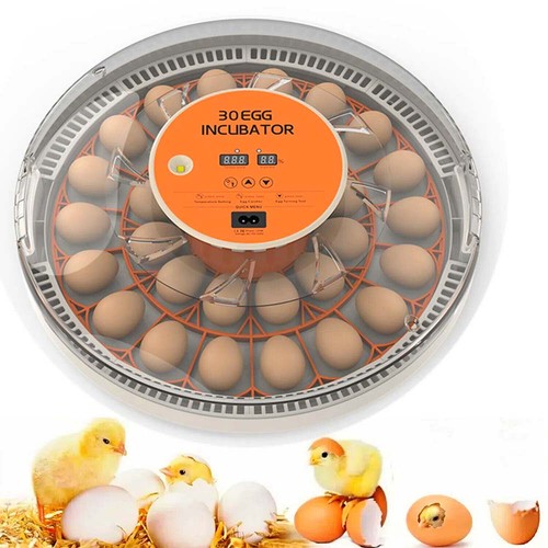 Eggs automatic incubator - 30,