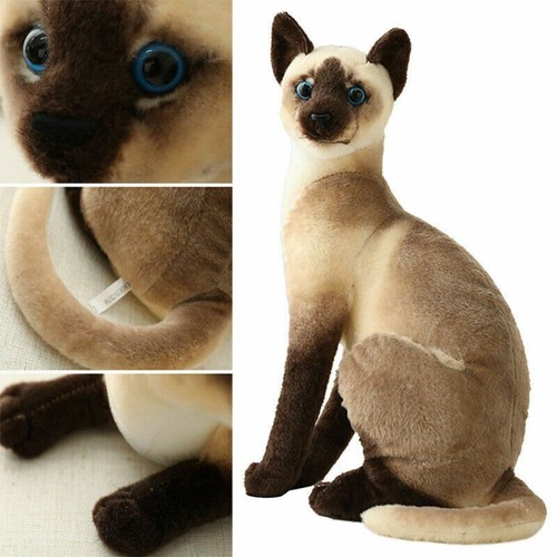 Lifelike cute realistic cat - lifelike,