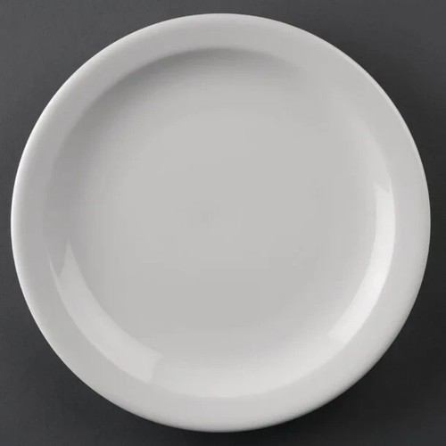 4pcs melamine dinner plates - dinner,