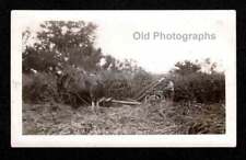 FARMER FARM HARVEST TIME HORSE DRAWN EQUIPMENT OLD/VINTAGE PHOTO SNAPSHOT- N527