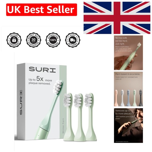 Sonic electric toothbrush - sonic,