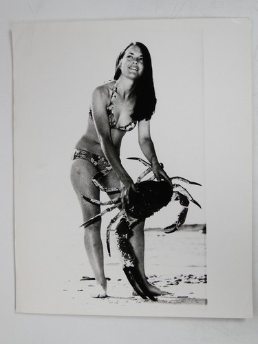 Sue smith giant king crab - sue,