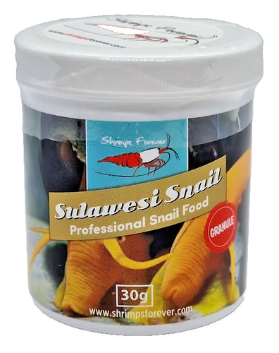 Shrimps forever sulawesi snail - forever,