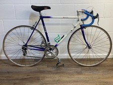 Raleigh Dynatech 600 Road Bike