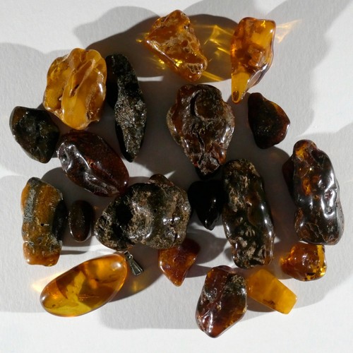 Amber rough stones 18 - amber, ?