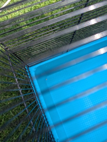 Pets home large - at,