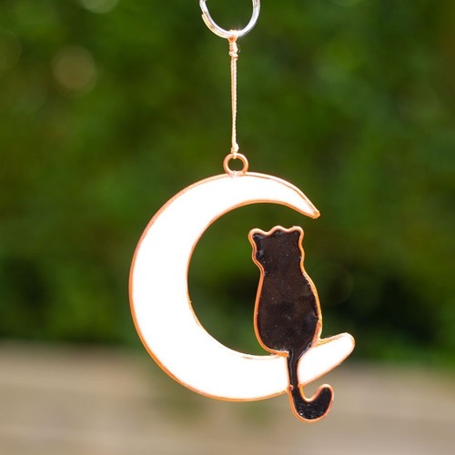 Mystical cat moon sun - cat, on