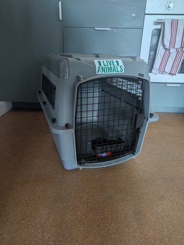 Petmate sky kennel - petmate,