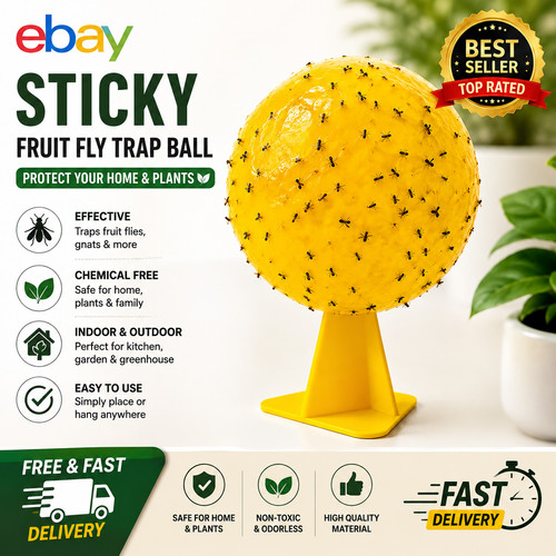 Fruit fly balls - fly, trap