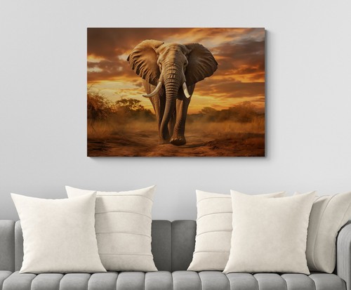 Elephant animal canvas picture - canvas,
