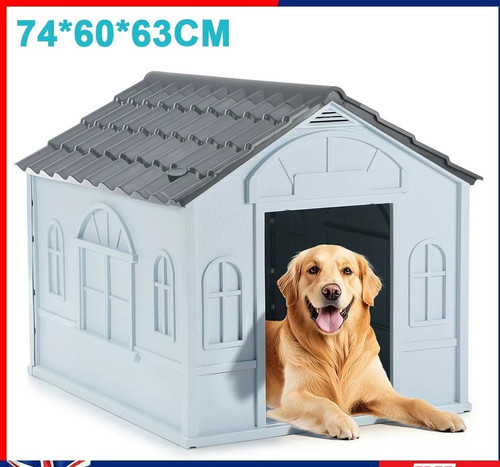 Outdoor large dog - dog, grey